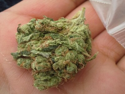 Sour Diesel