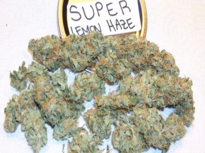 Super Lemon Haze